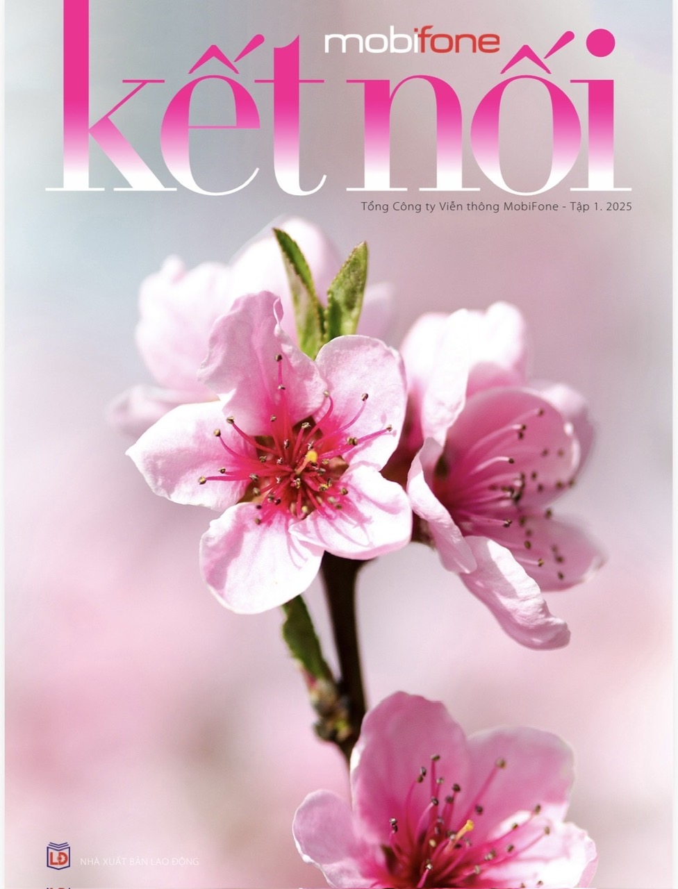 Mobifone kết nối - Tập 01.2025